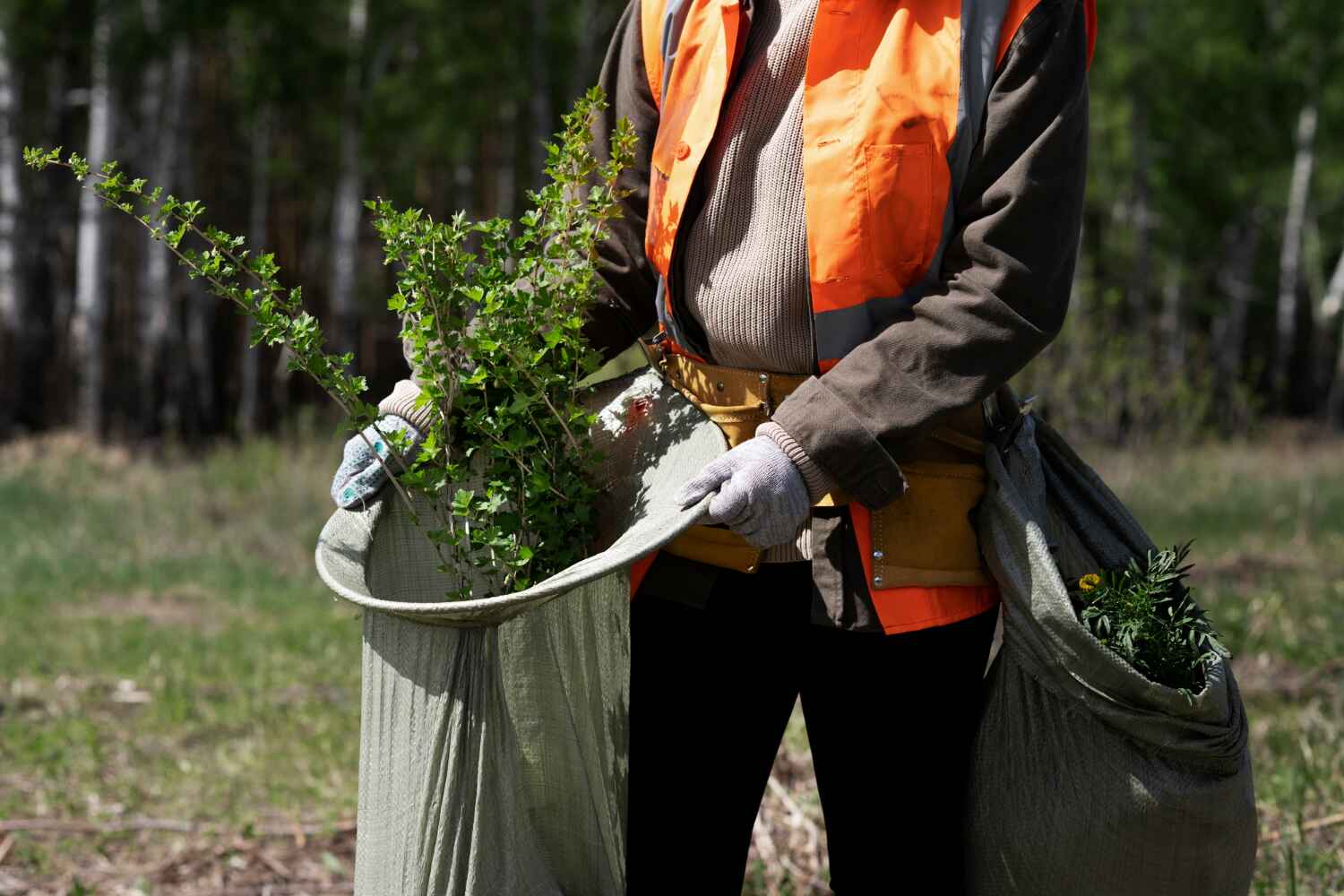 Best Large Tree Removal  in East Jordan, MI